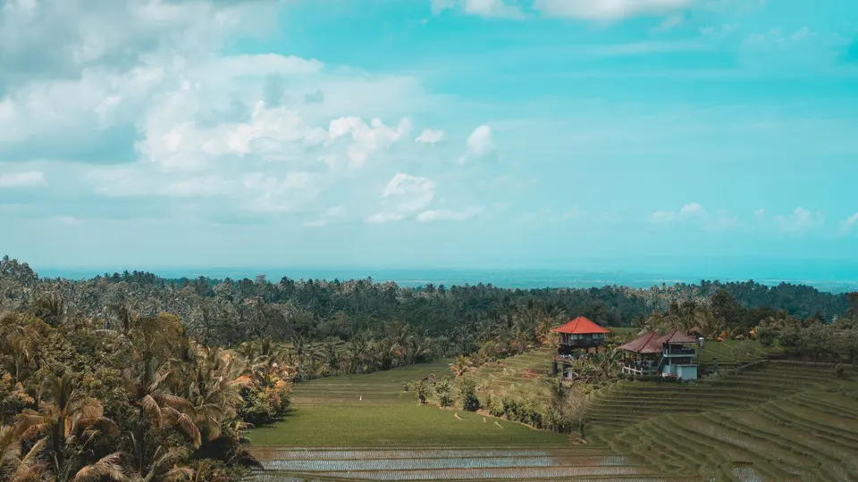 Sawah berundak dan rumah di Marga, Tabanan