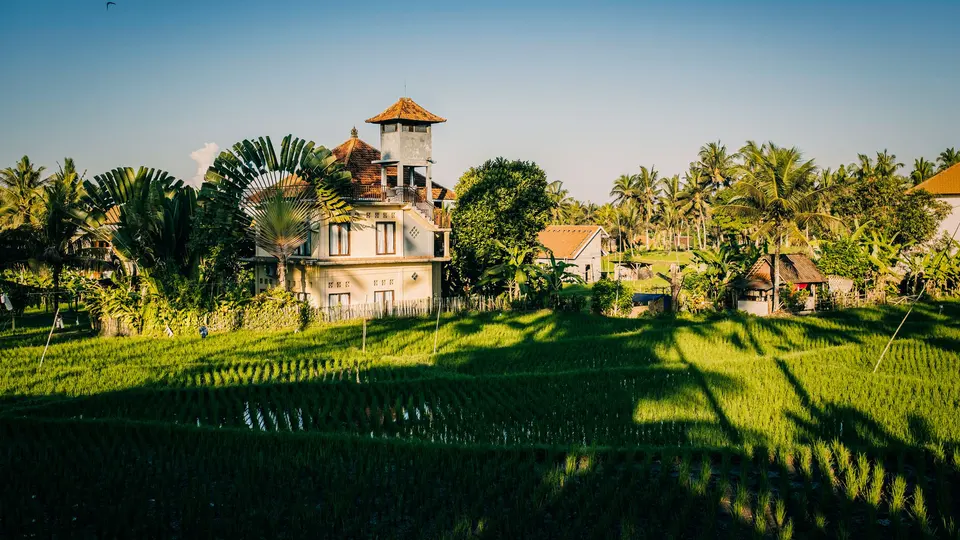 Rumah di tengah sawah di Bali