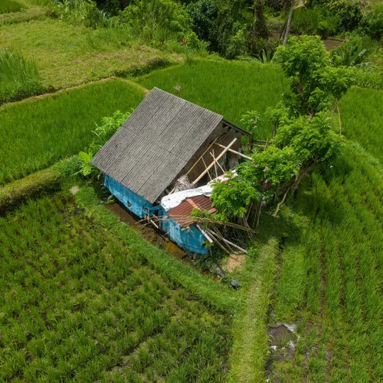 Rumah di tengah sawah dilihat dari udara