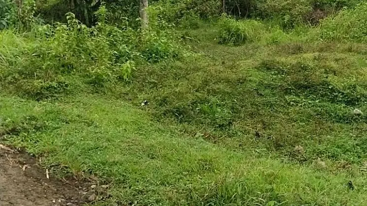 Dijual tanah di Banjar Anyar, Kediri, Tabanan (T-1)